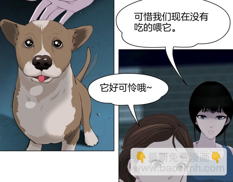 第 71 页