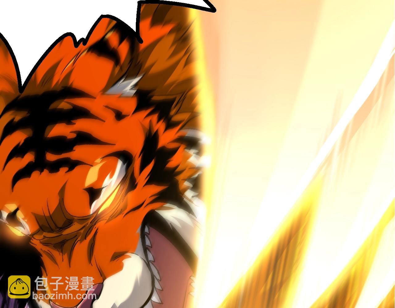 第 116 页
