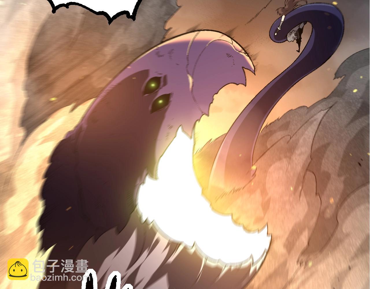 第 113 页
