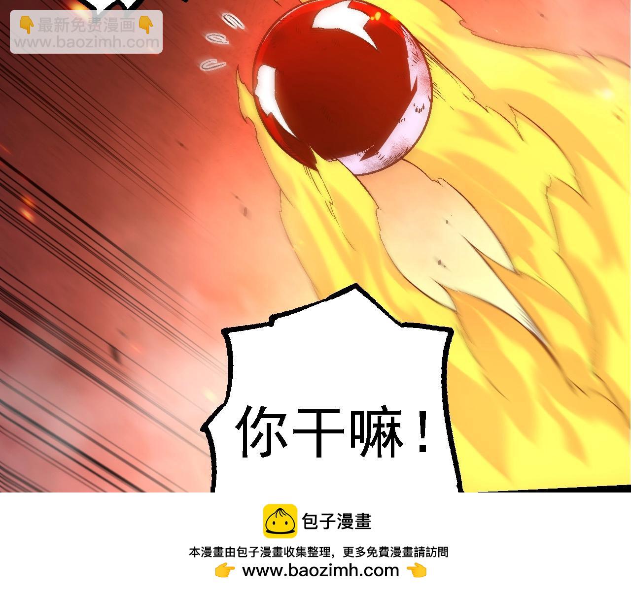 第 100 页