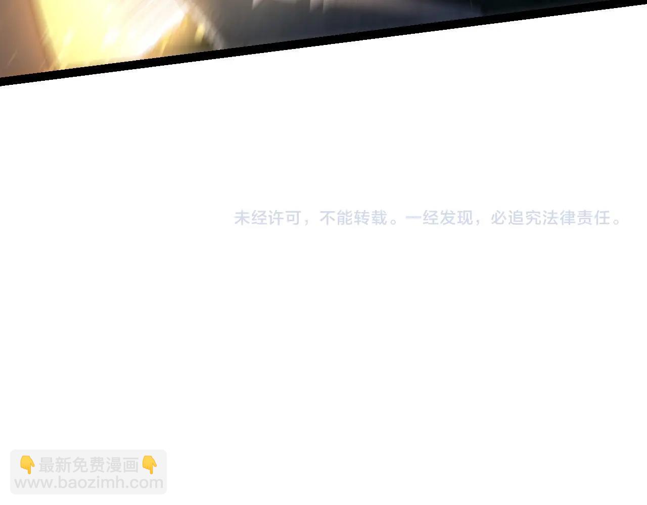 第 113 页