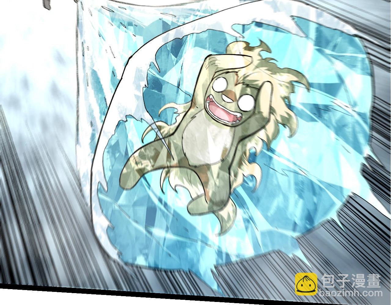 第 66 页