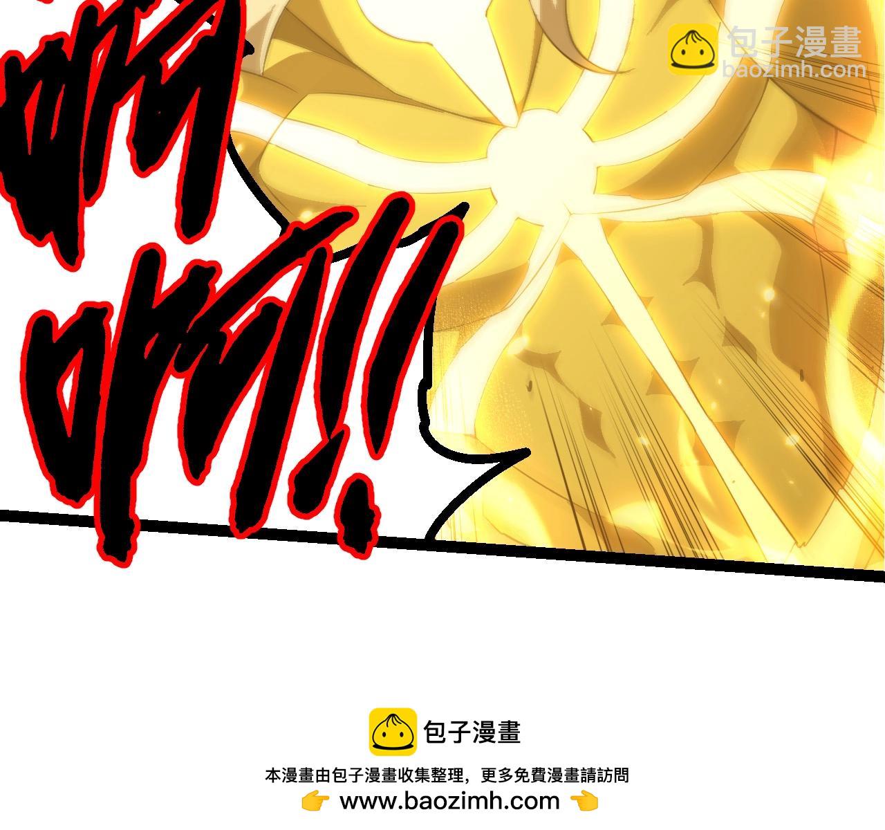 第 100 页