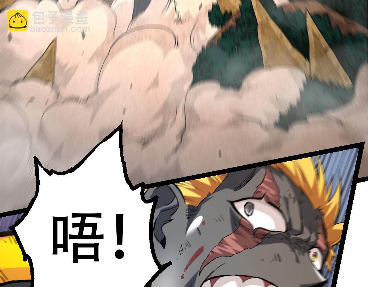 第 113 页