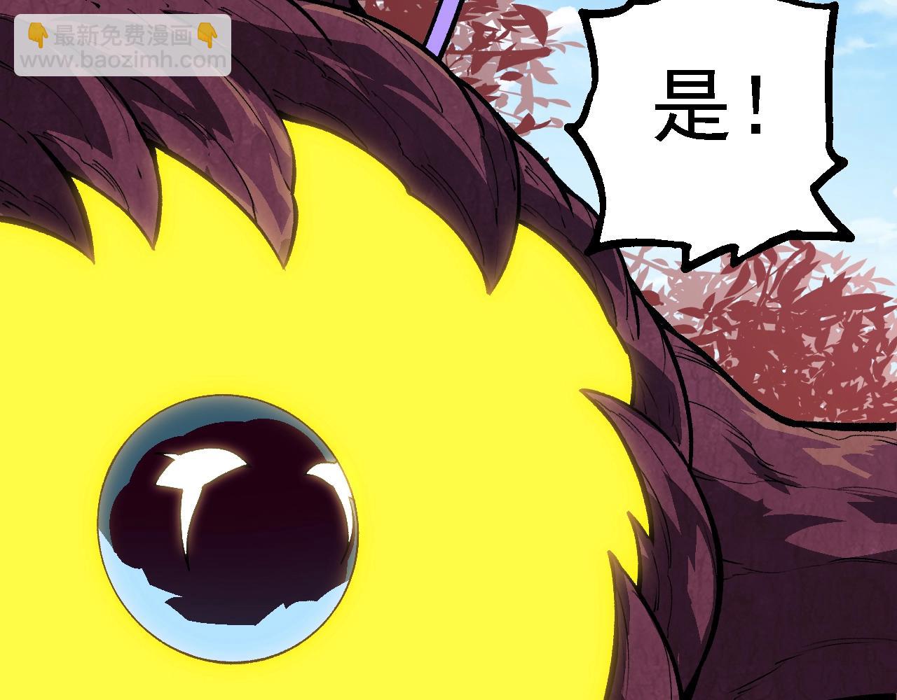 第 111 页