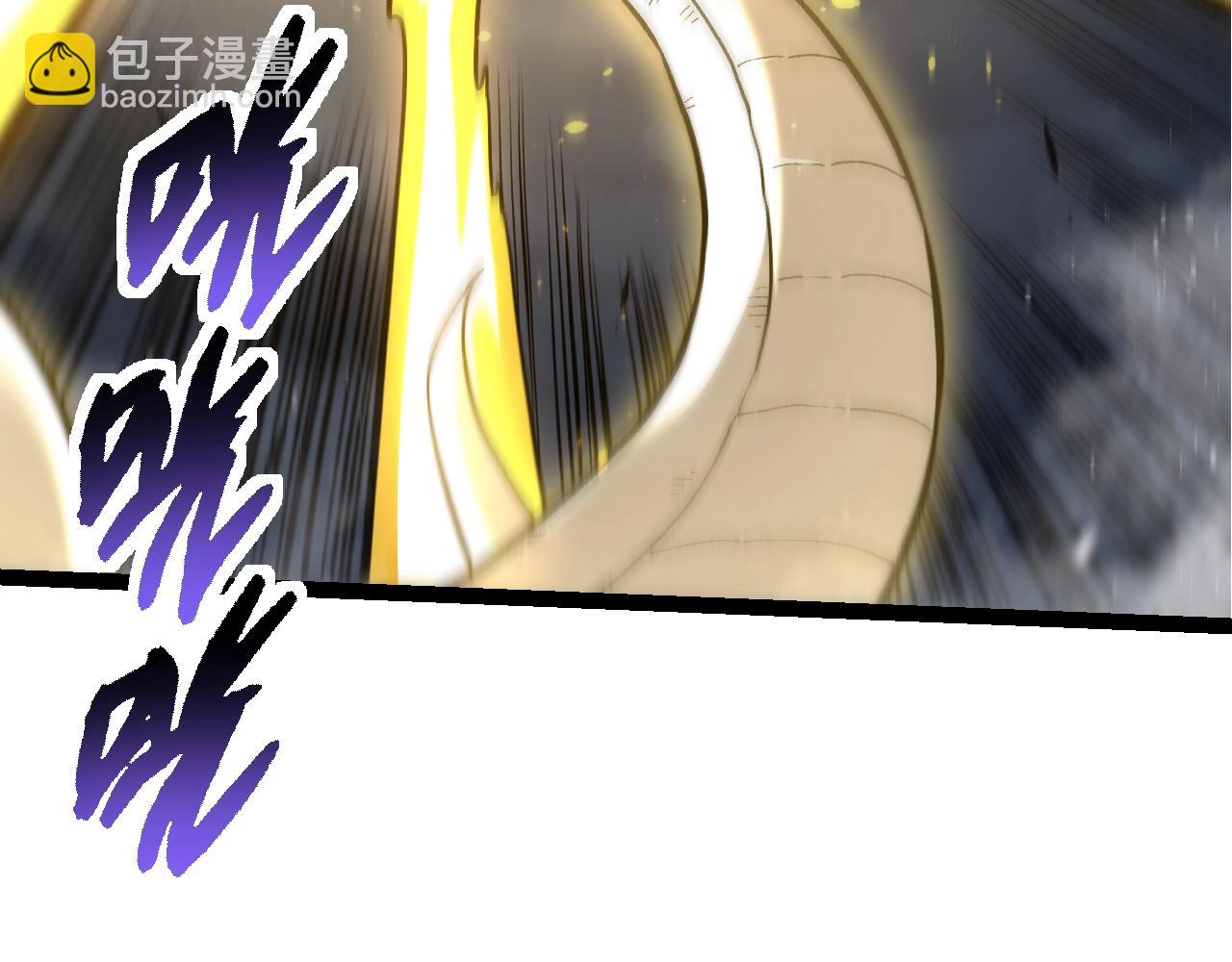 第 110 页