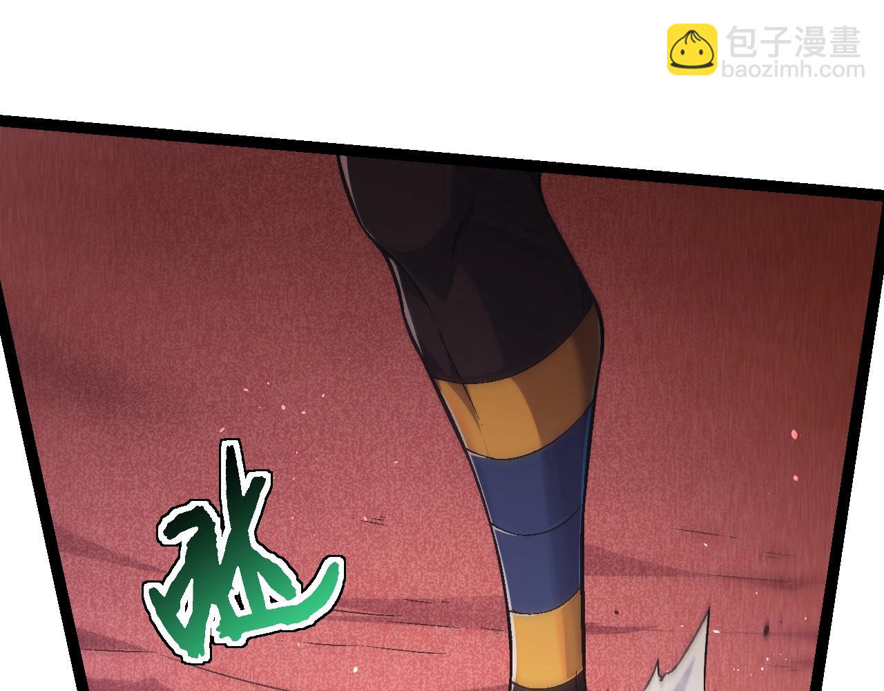 第 113 页