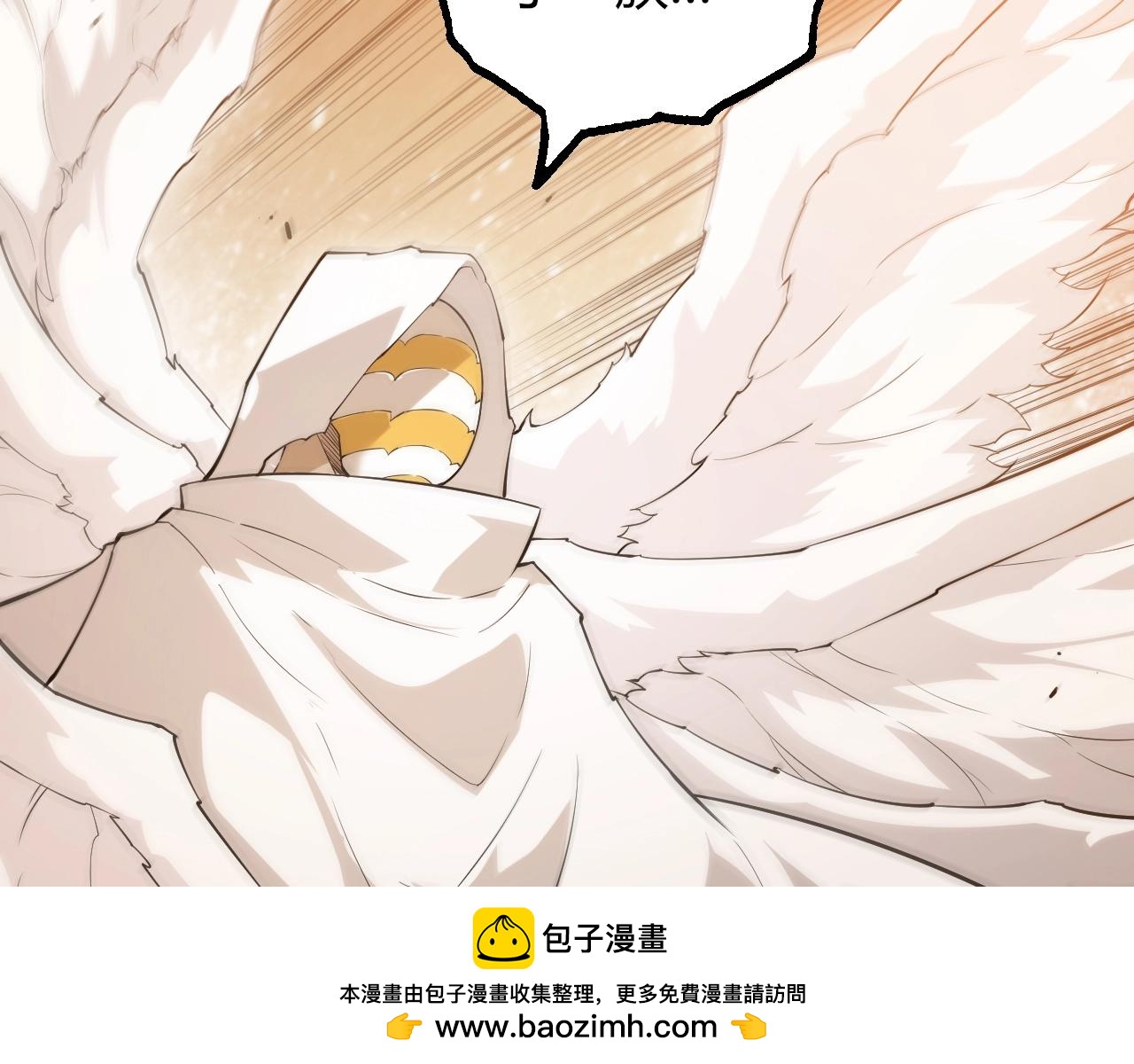 第 100 页
