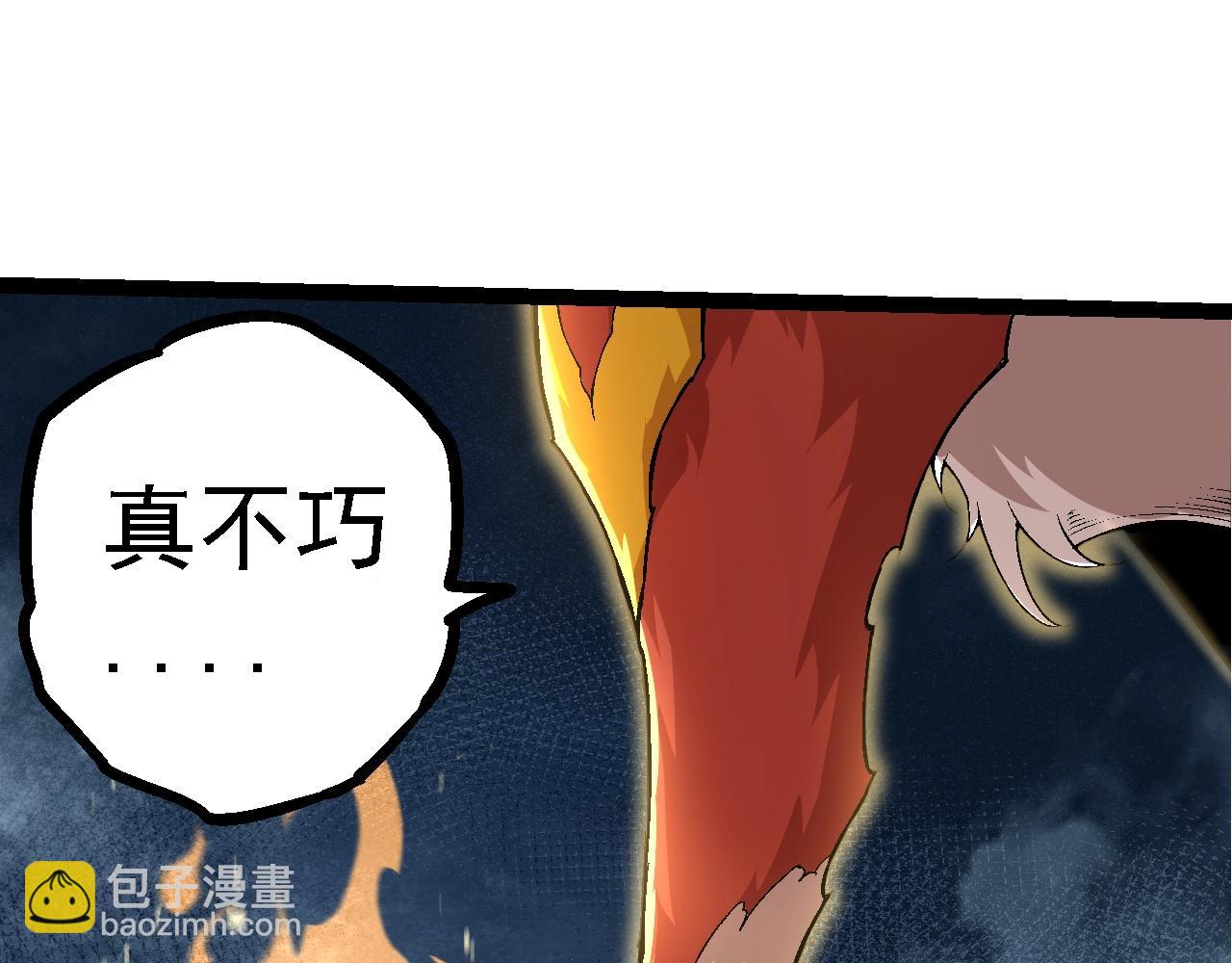 第 135 页