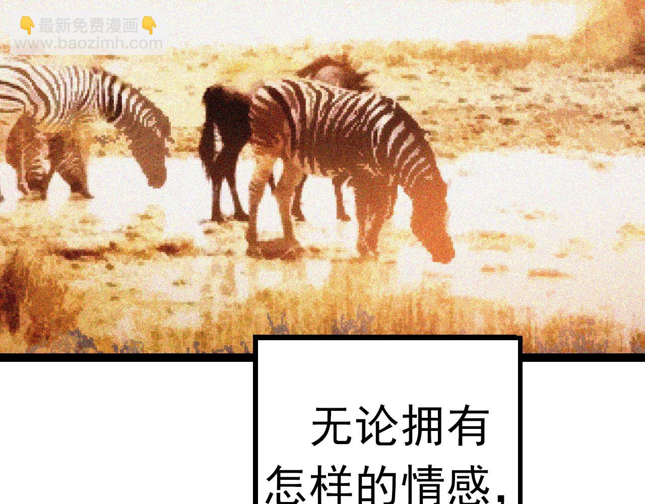 第 245 页