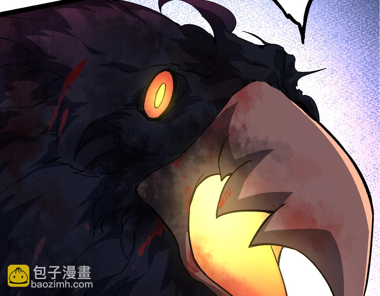 第 113 页