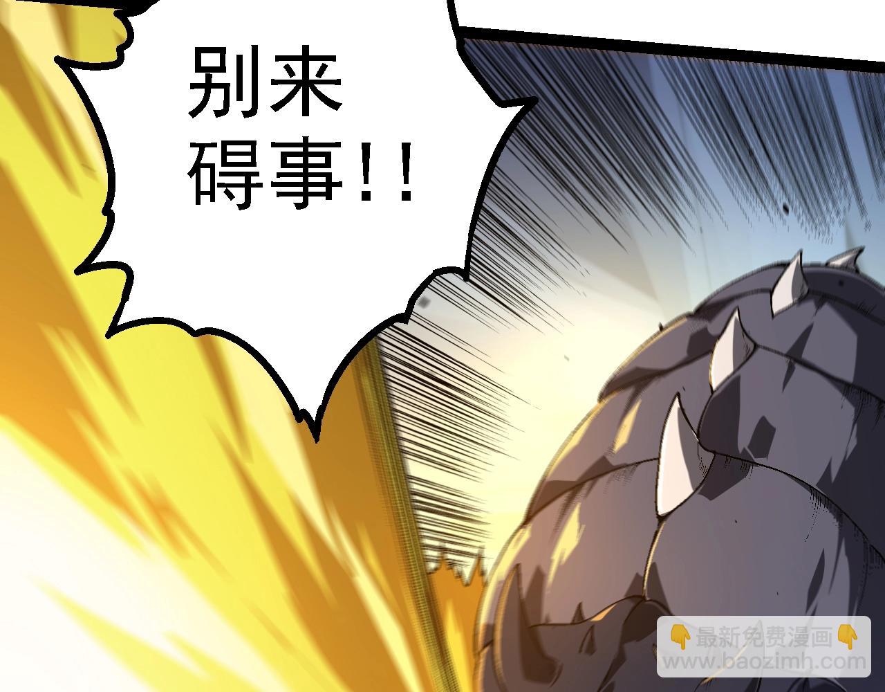 第 113 页