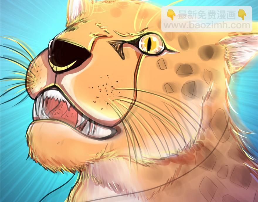 第 63 页