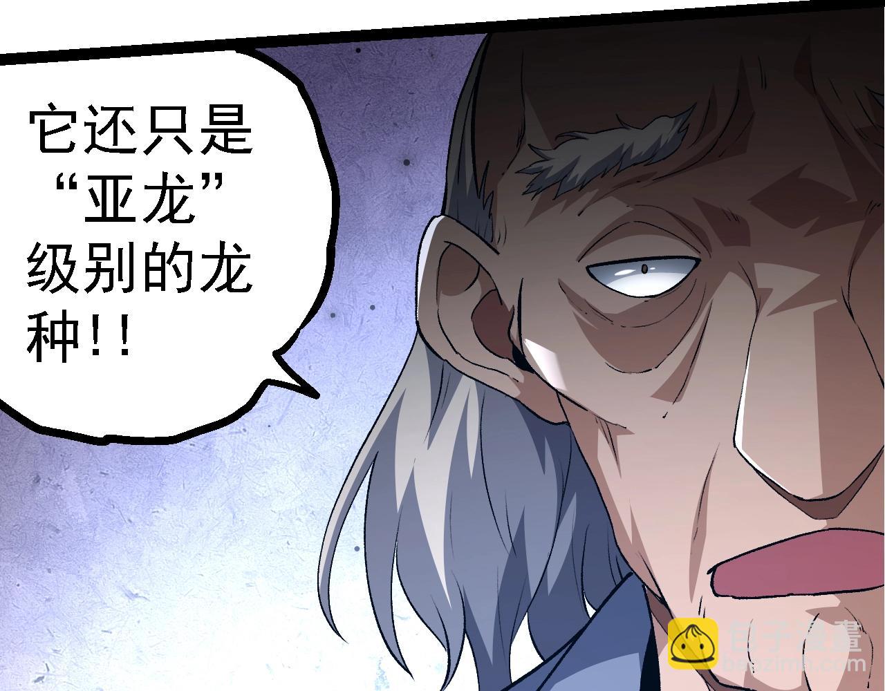 第 113 页
