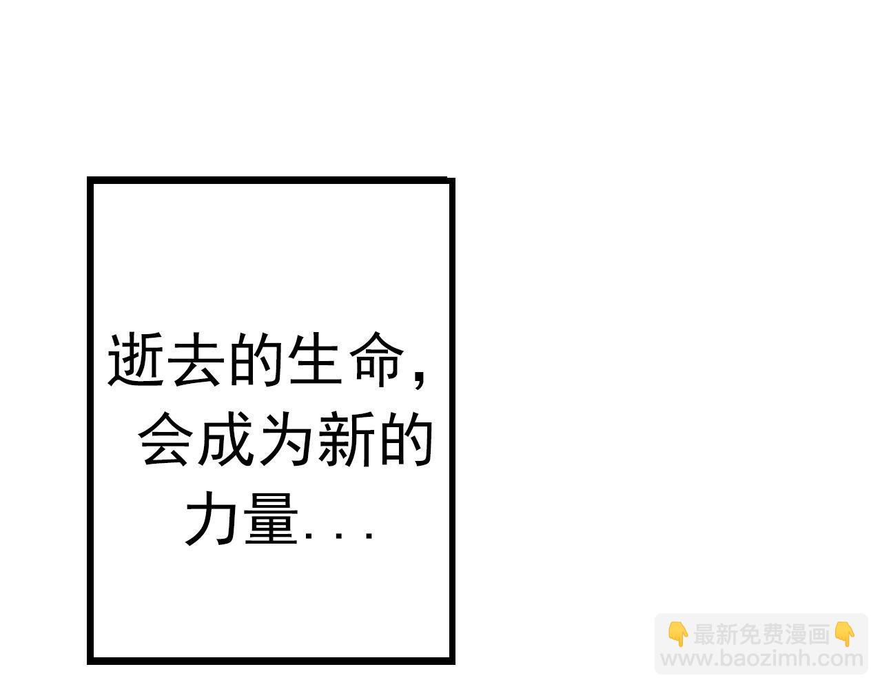 第 250 页