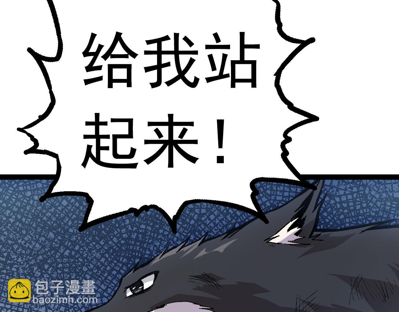 第 207 页