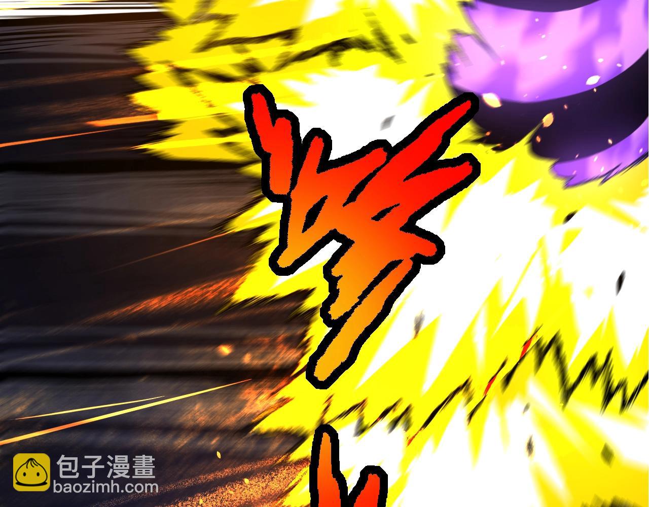 第 111 页
