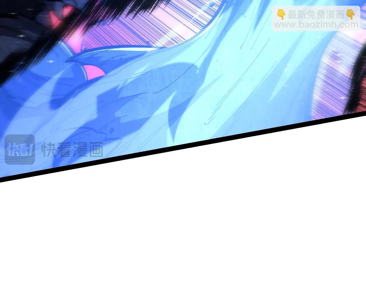 第 111 页