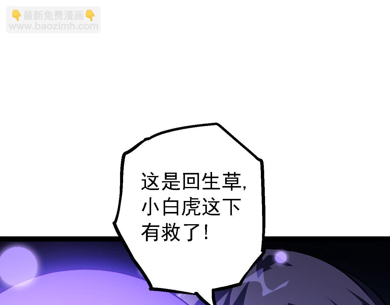 第 116 页