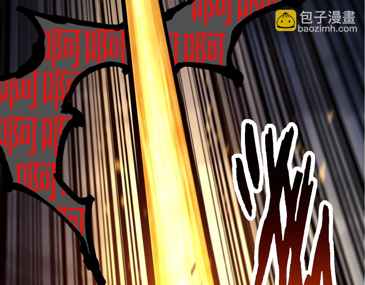 第 110 页