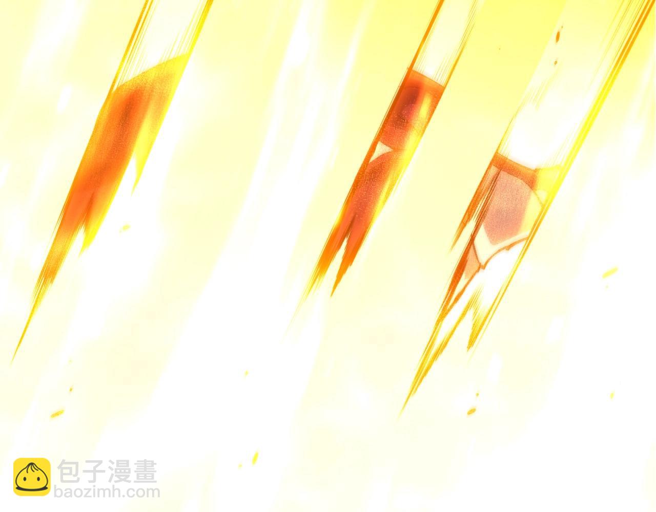 第 97 页