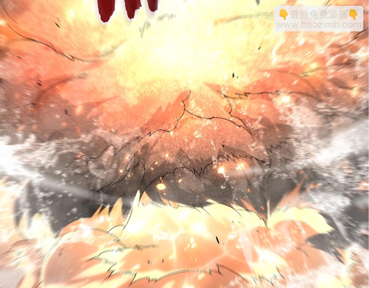 第 113 页