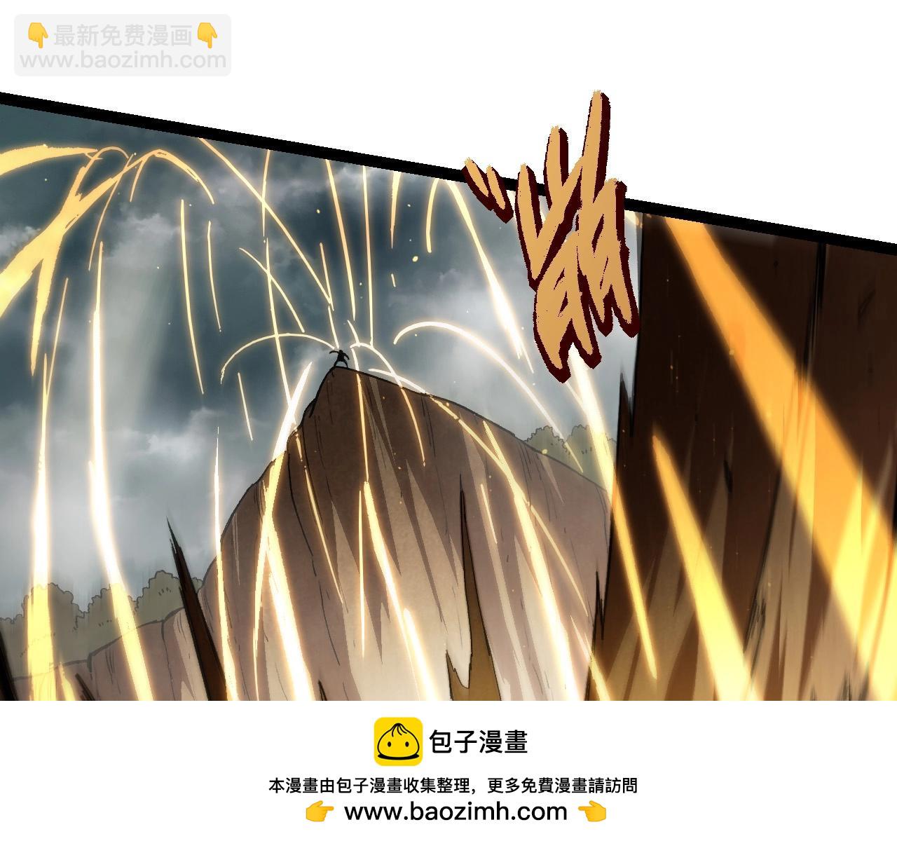 第 100 页