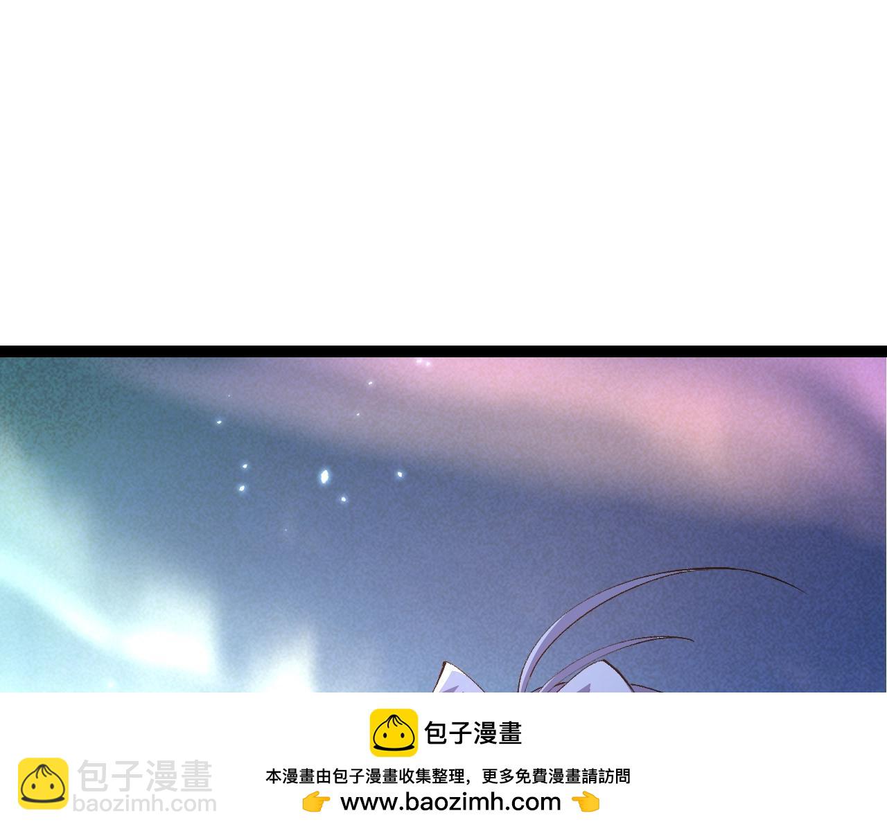 第 100 页
