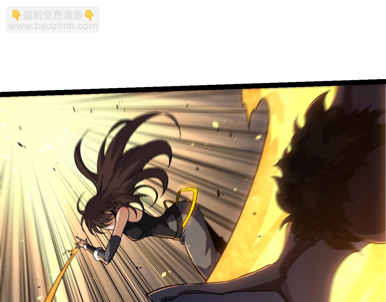 第 110 页