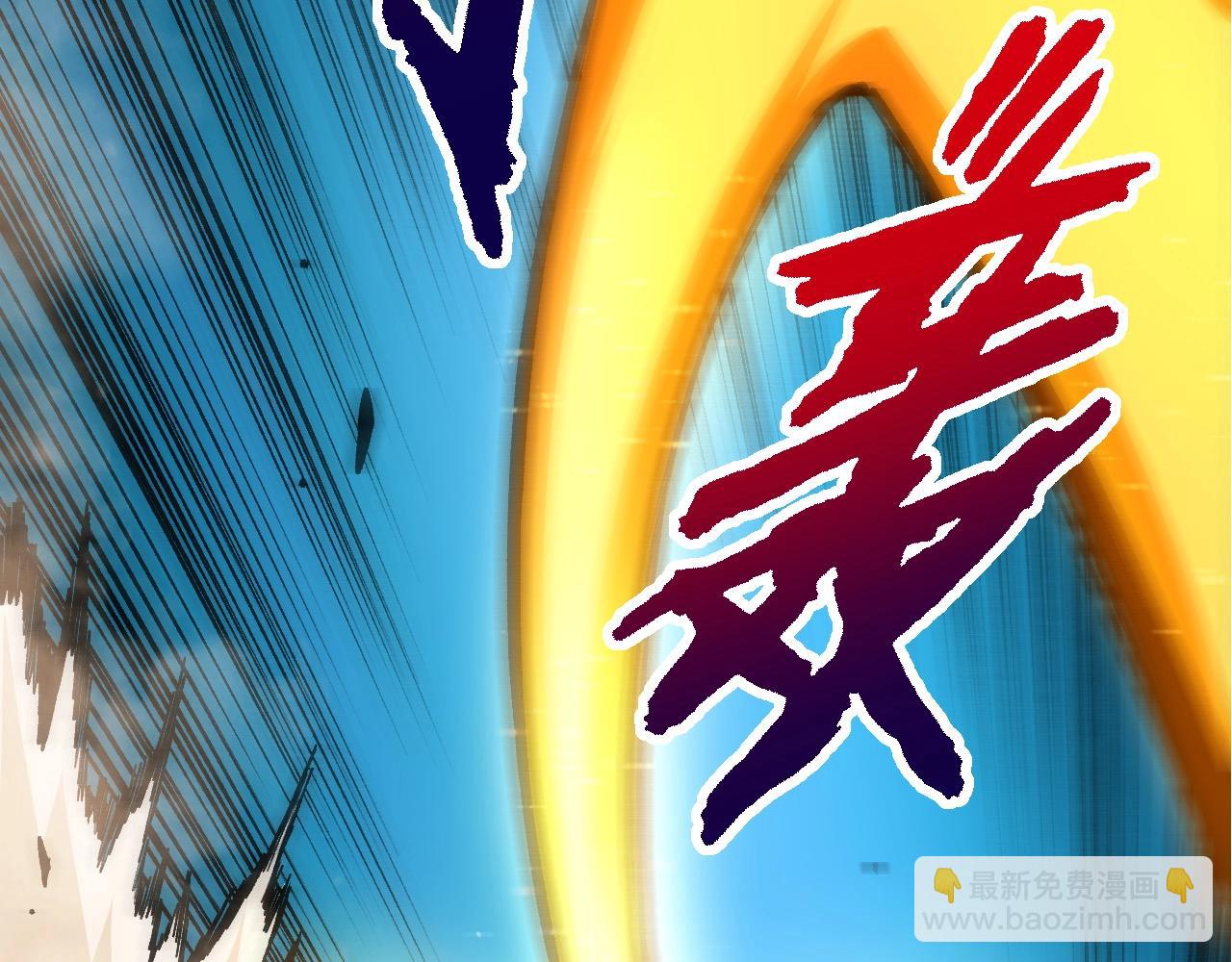 第 113 页