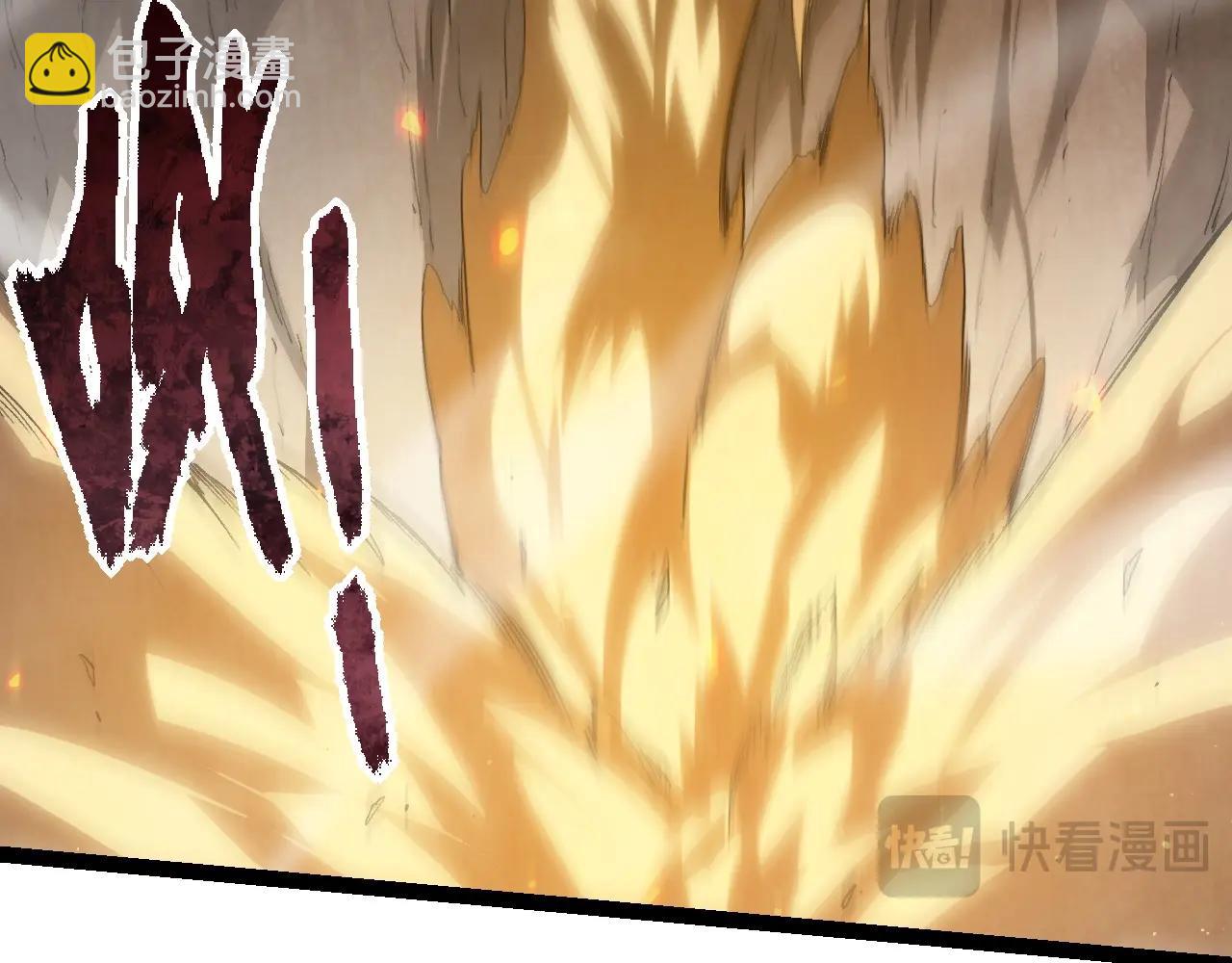 第 121 页