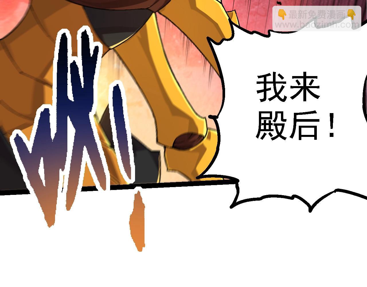 第 81 页