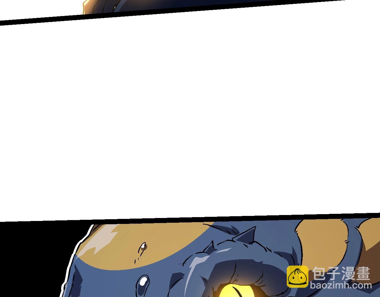 第 110 页