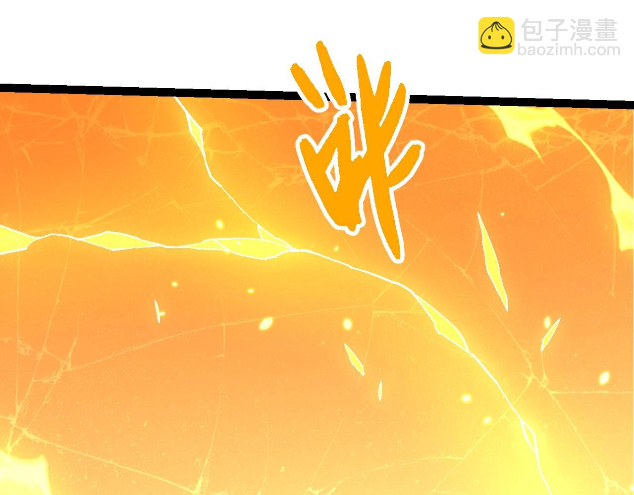 第 97 页