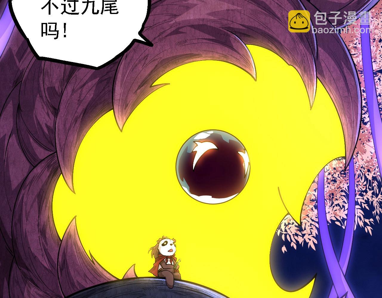 第 111 页