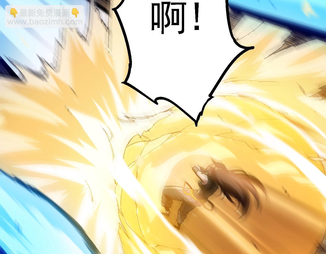 第 110 页
