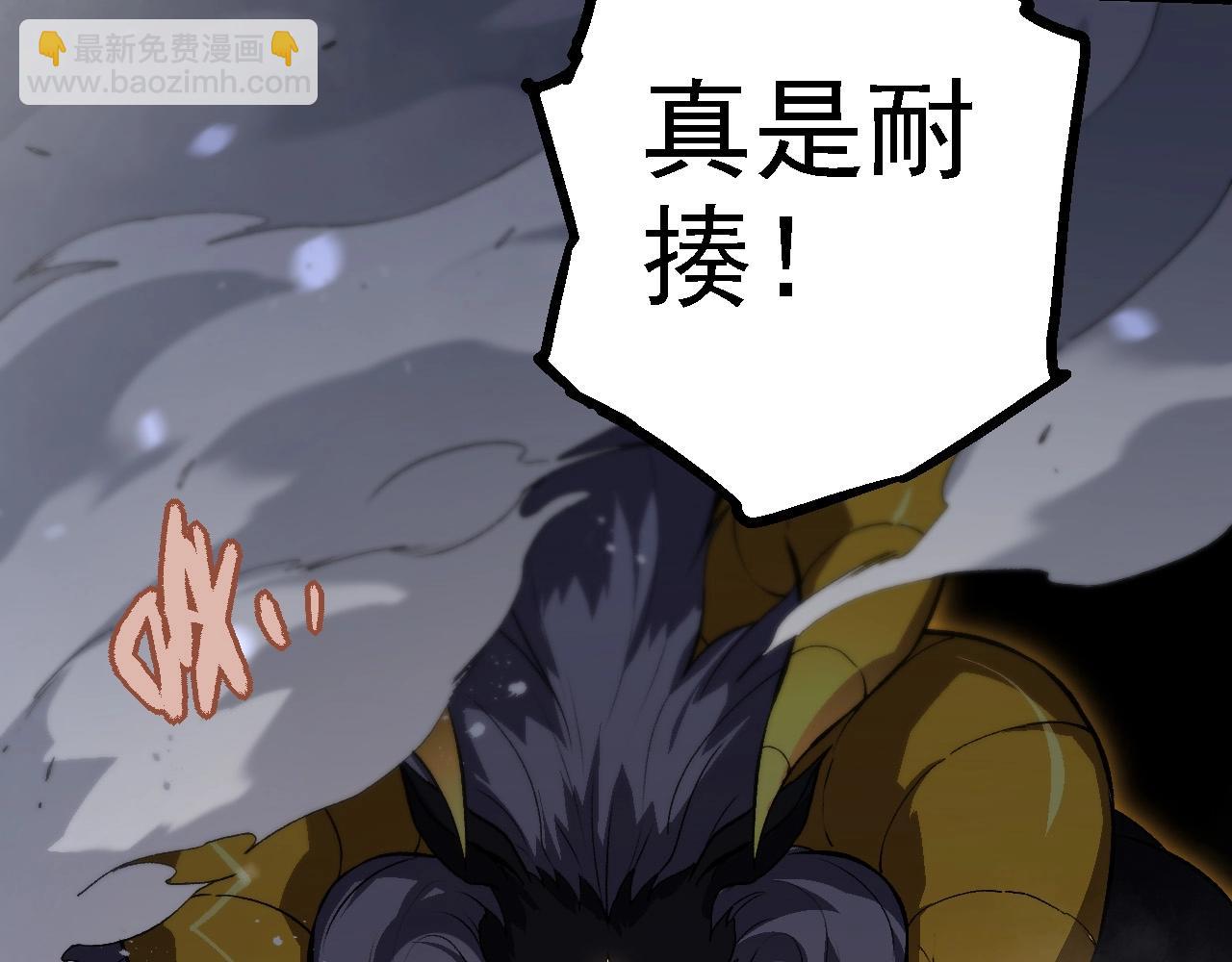 第 110 页