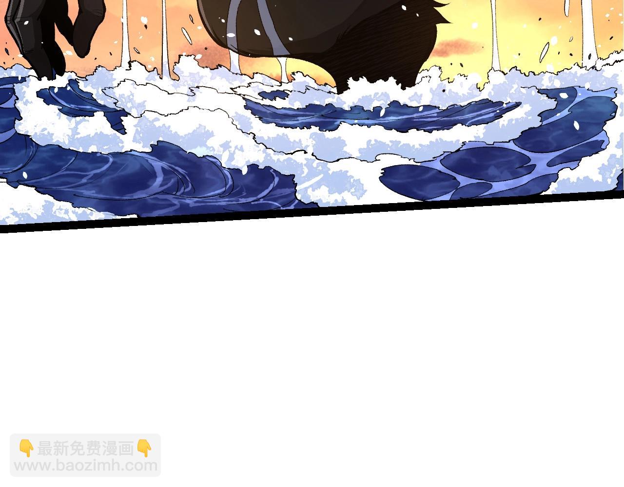 第 113 页