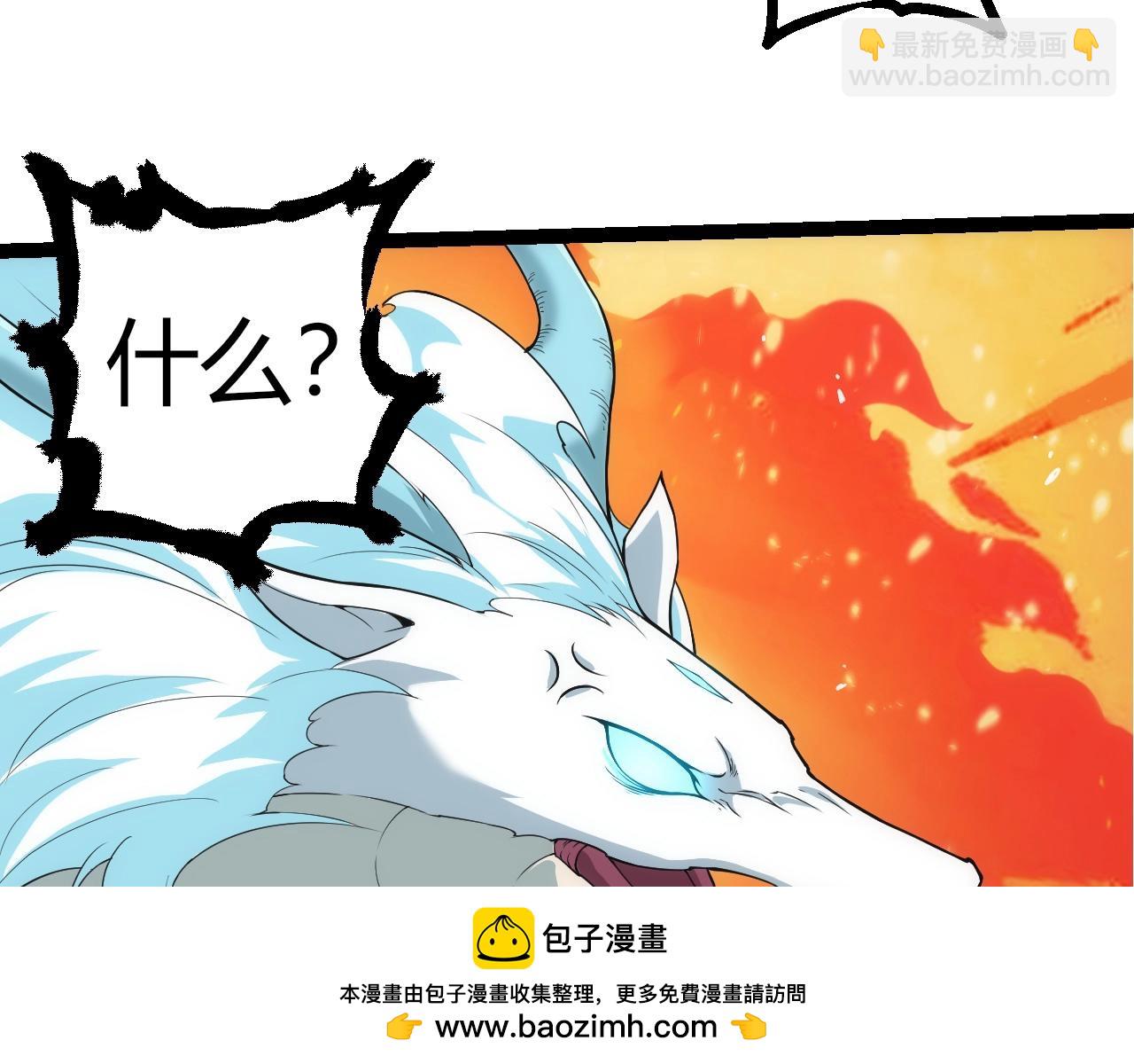 第 100 页