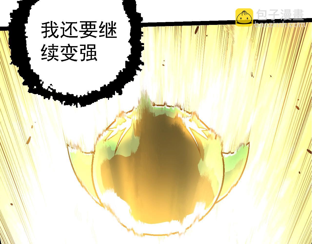 第 102 页
