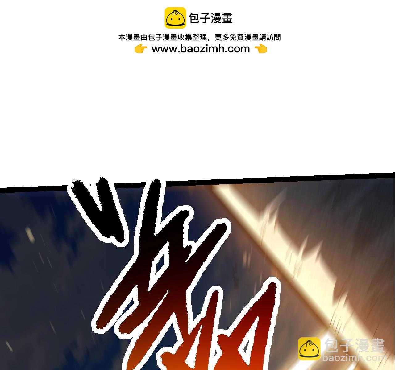 第 110 页