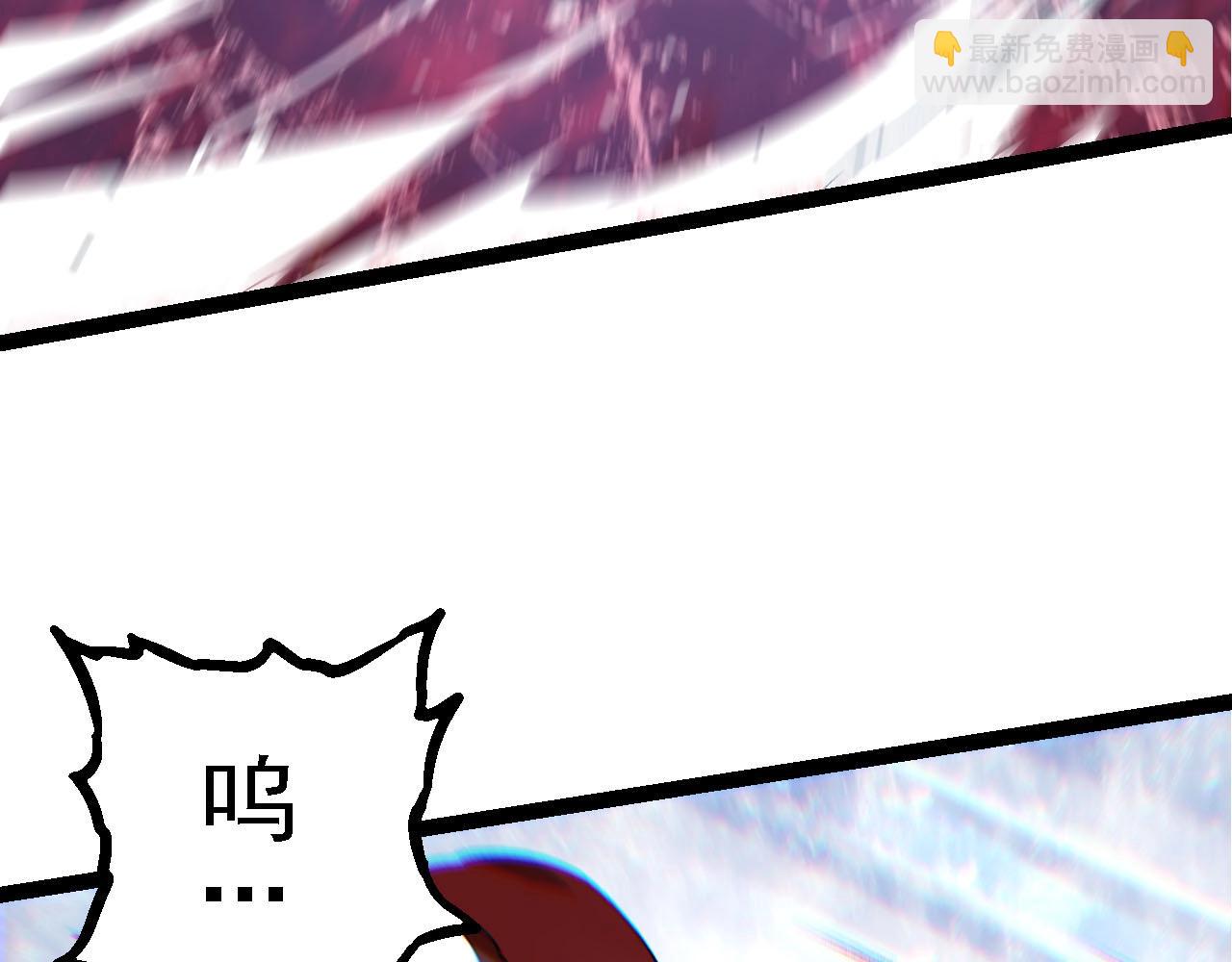 第 110 页