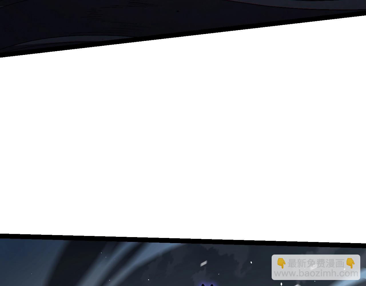 第 111 页