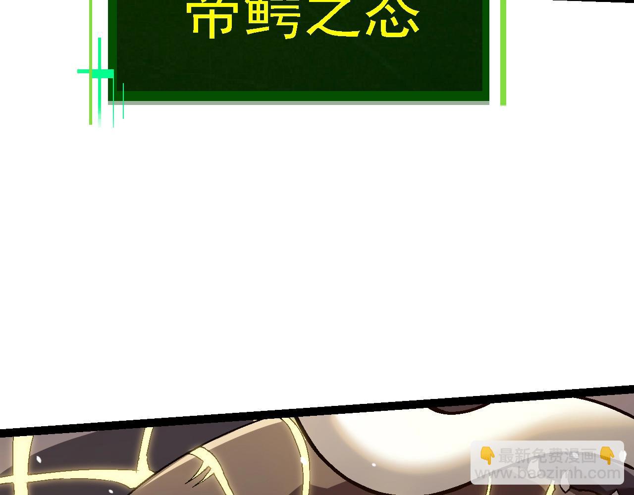 第 117 页