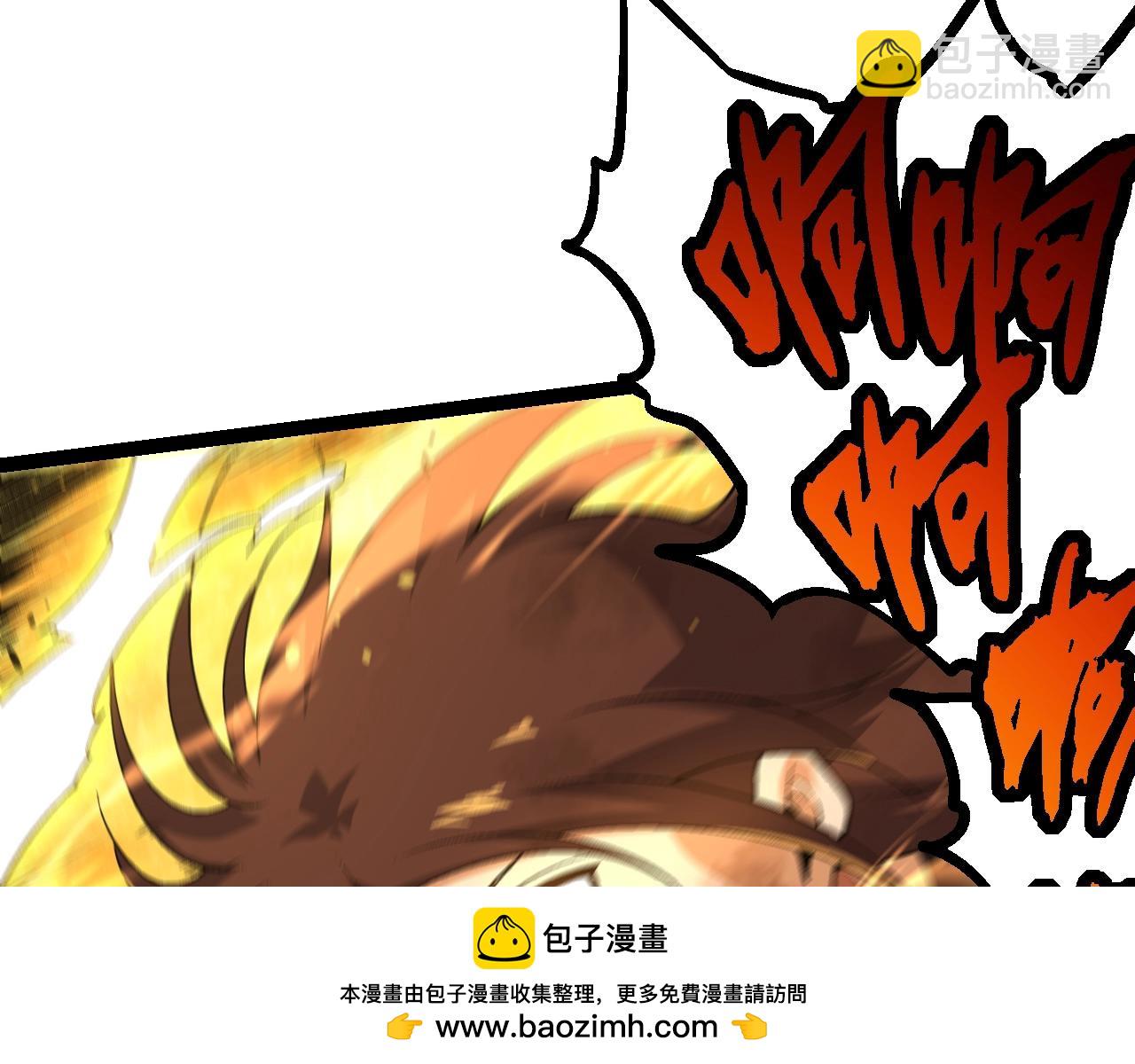 第 100 页