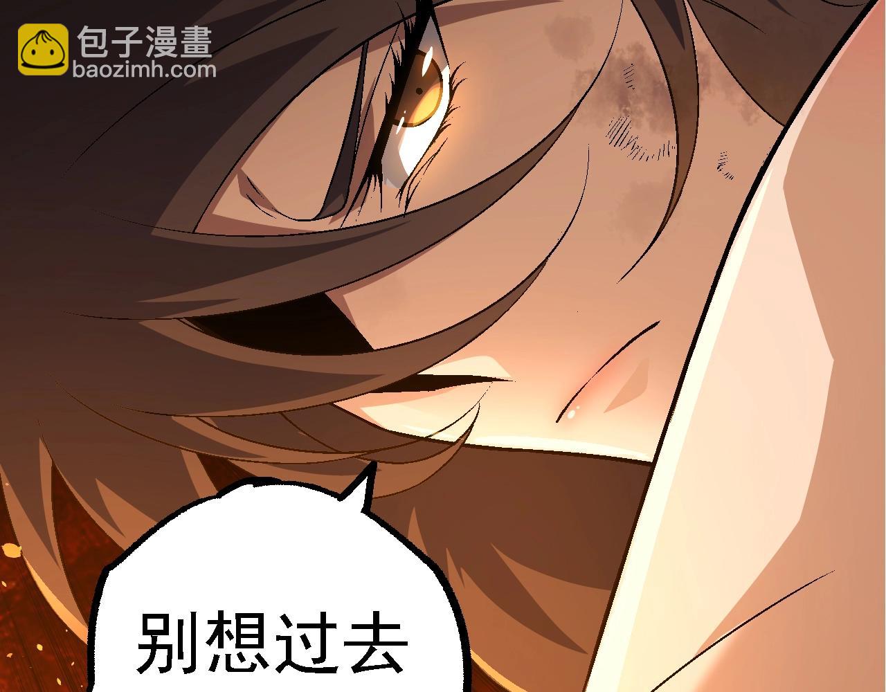 第 113 页
