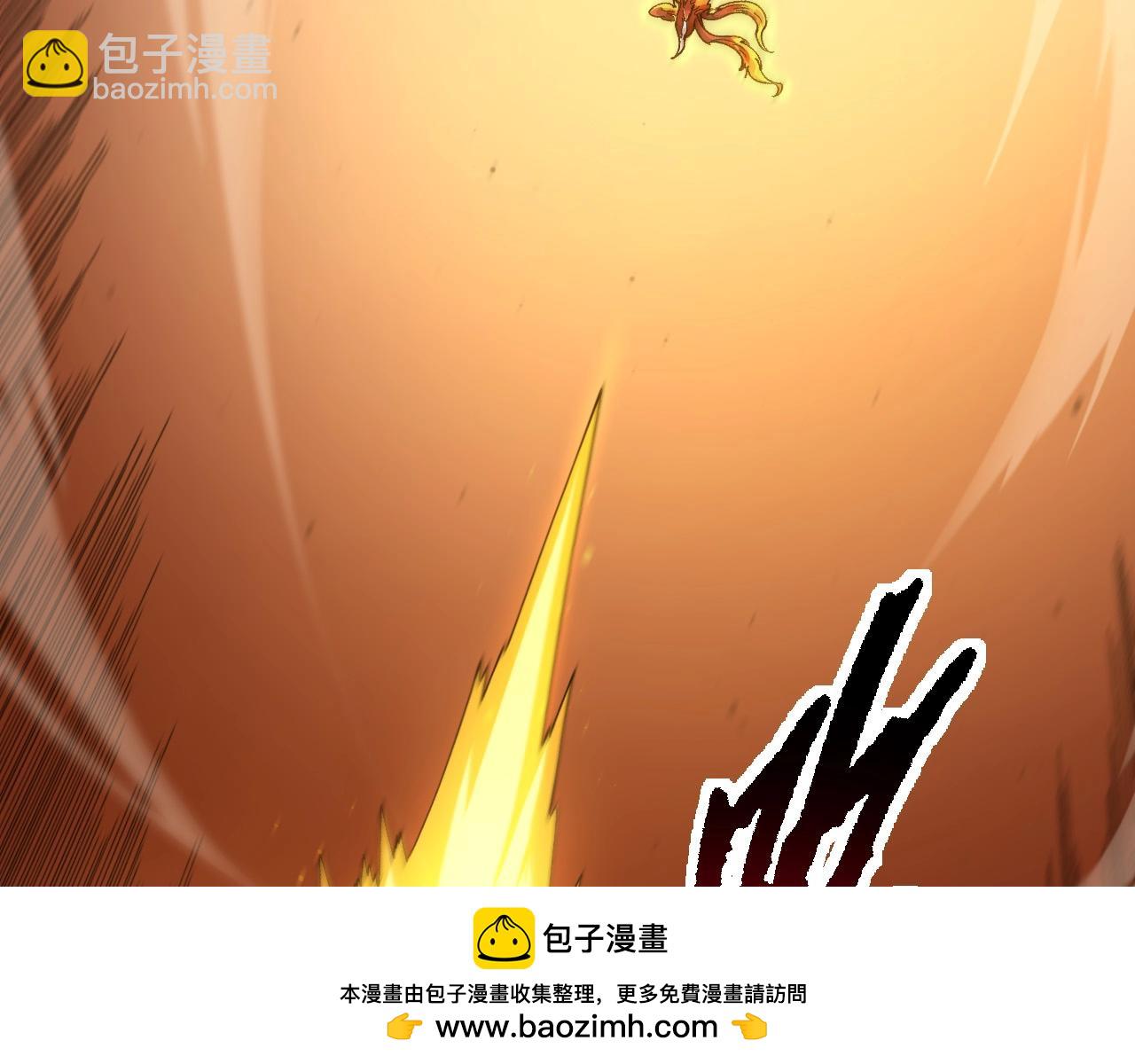 第 100 页