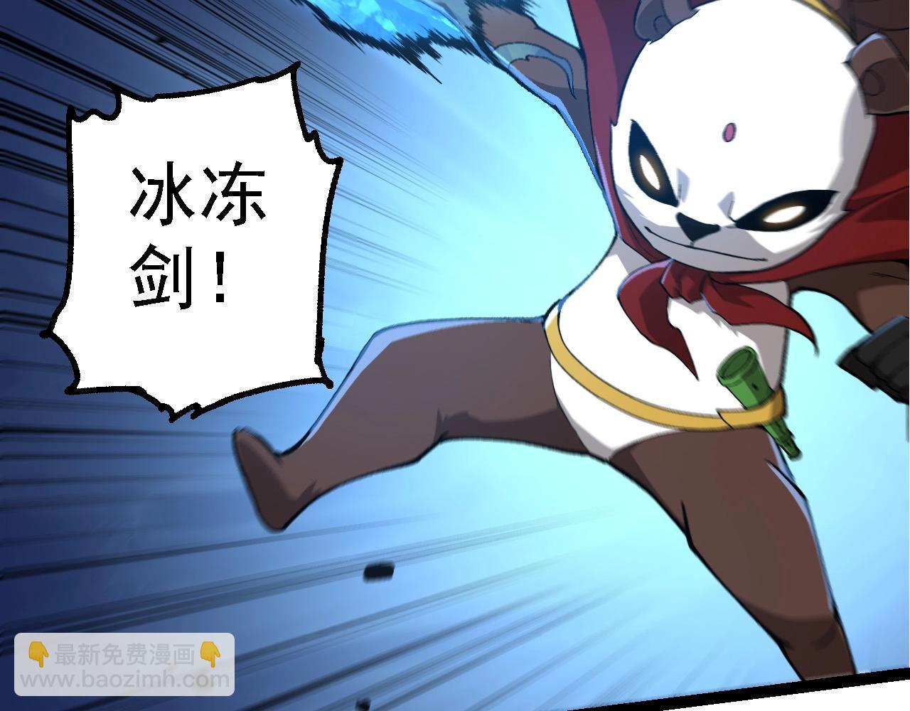 第 66 页