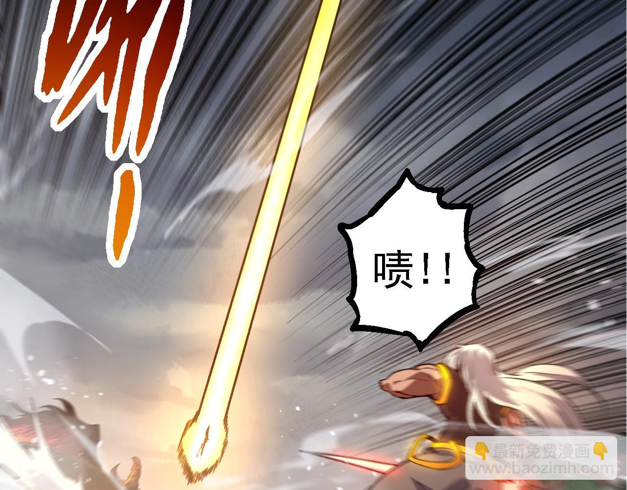 第 113 页