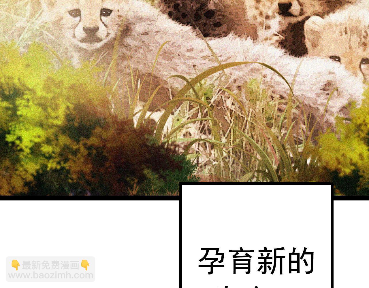 第 252 页